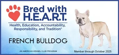 French Bulldog Bred with Heart 2025