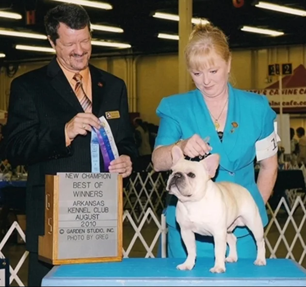 Mobulls Sam N Sawyers Final Copy with handler Linda Williams at an AKC dog show