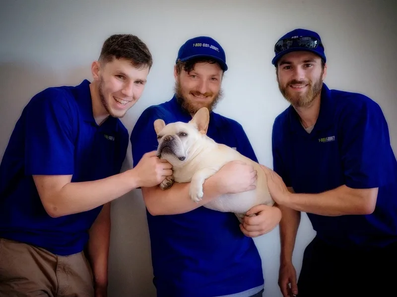 French Bulldog Arrow relaxing with three movers he had just met