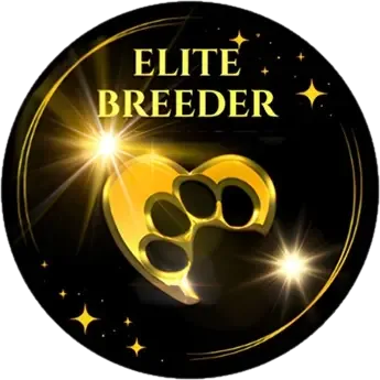Elite Breeder of French Bulldogs