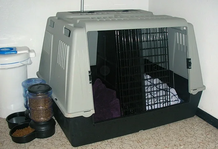 Puppy crate set up with food and water bowls for a French Bulldog puppy