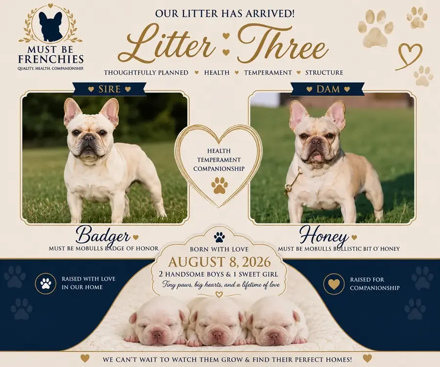 Badger and Honey Litter Announcement
